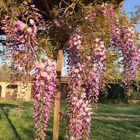 Farm stay Corte Galvagnina Cesole